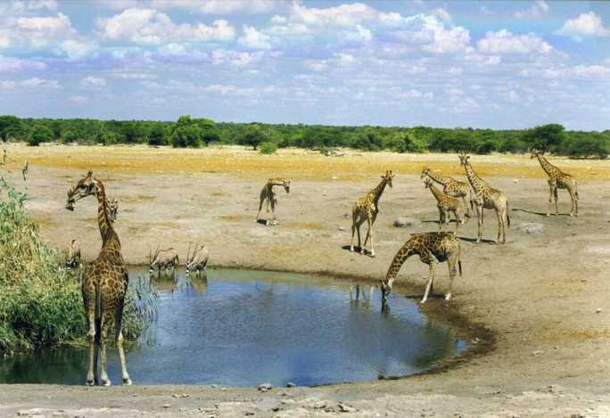 Malka Mari National Park