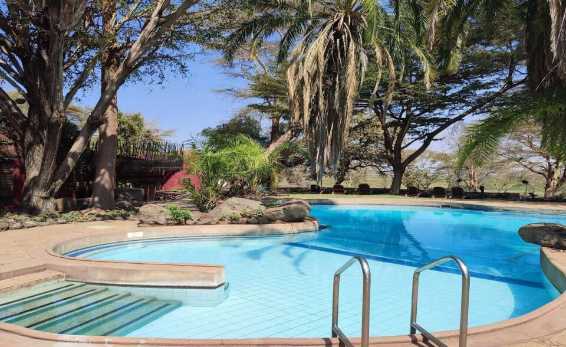 AMBOSELI SERENA SAFARI LODGE