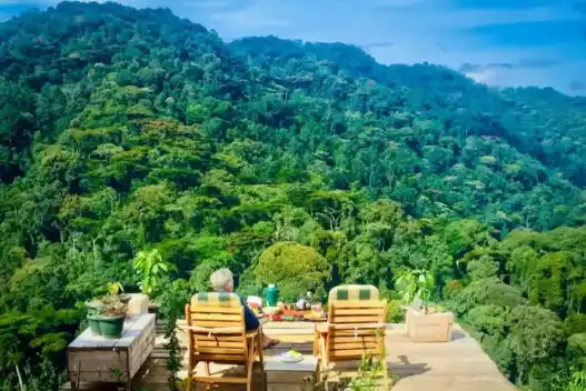 Safari Like No Other: 9 Game Parks in Uganda That Will Blow Your Mind 1 Game Parks in Uganda