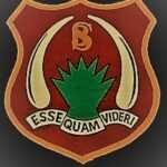 CHANIA HIGH SCHOOL