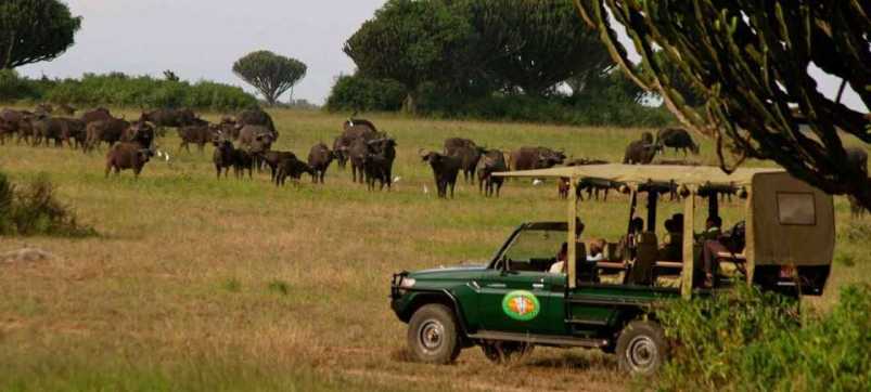 7 Authentic Tourism Sites in Uganda that'll Leave You Hungry for More 3 7 Authentic Tourism Sites in Uganda that'll Leave You Hungry for More