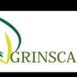 Grinscapes limited