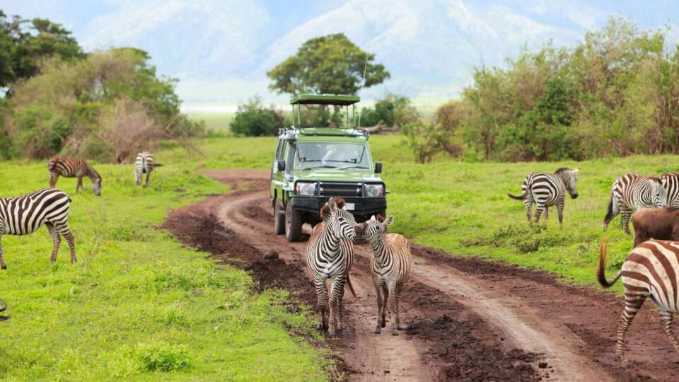 Safari Like No Other: 9 Game Parks in Uganda That Will Blow Your Mind 2 Safari Like No Other: 9 Game Parks in Uganda That Will Blow Your Mind