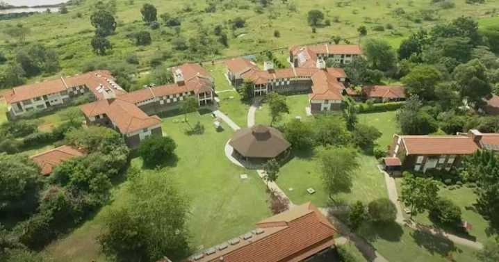 Peponi School.