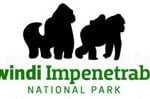 Bwindi View Lodge
