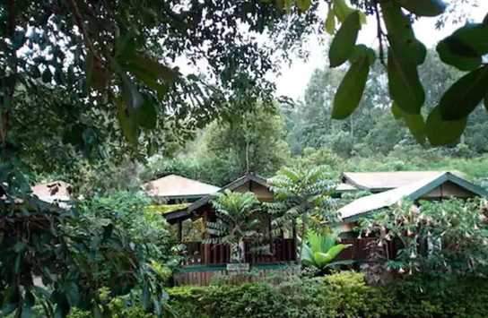 Bwindi View Lodge